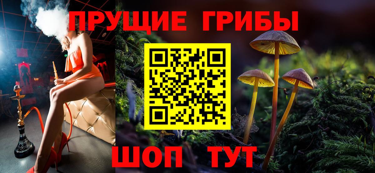 Псилоцибиновые грибы прущие грибы Ульяновск