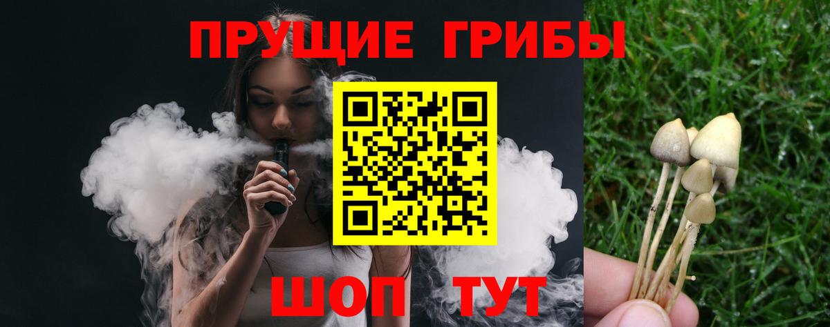 Ульяновск  Галлюциногенные грибы MAGIC MUSHROOMS  Вход с VPN 
